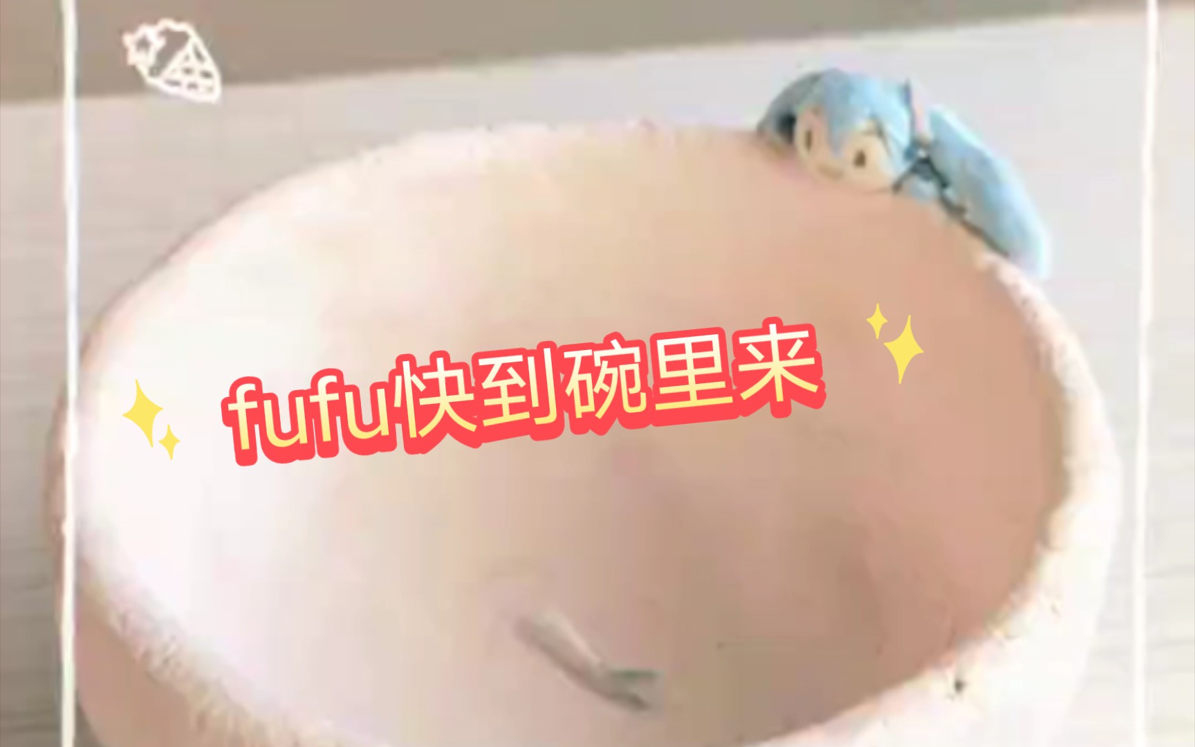 fufu快到碗里来哔哩哔哩bilibili