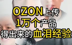 OZON上传1万个产品得出来的血泪经验