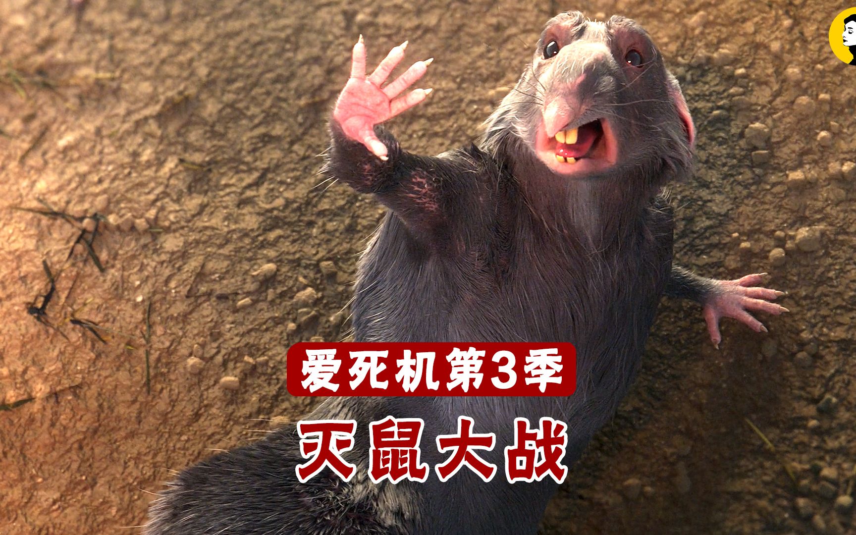 2022网飞新剧爱死机3震撼来袭鼠鼠辣么可爱怎么可以杀鼠鼠