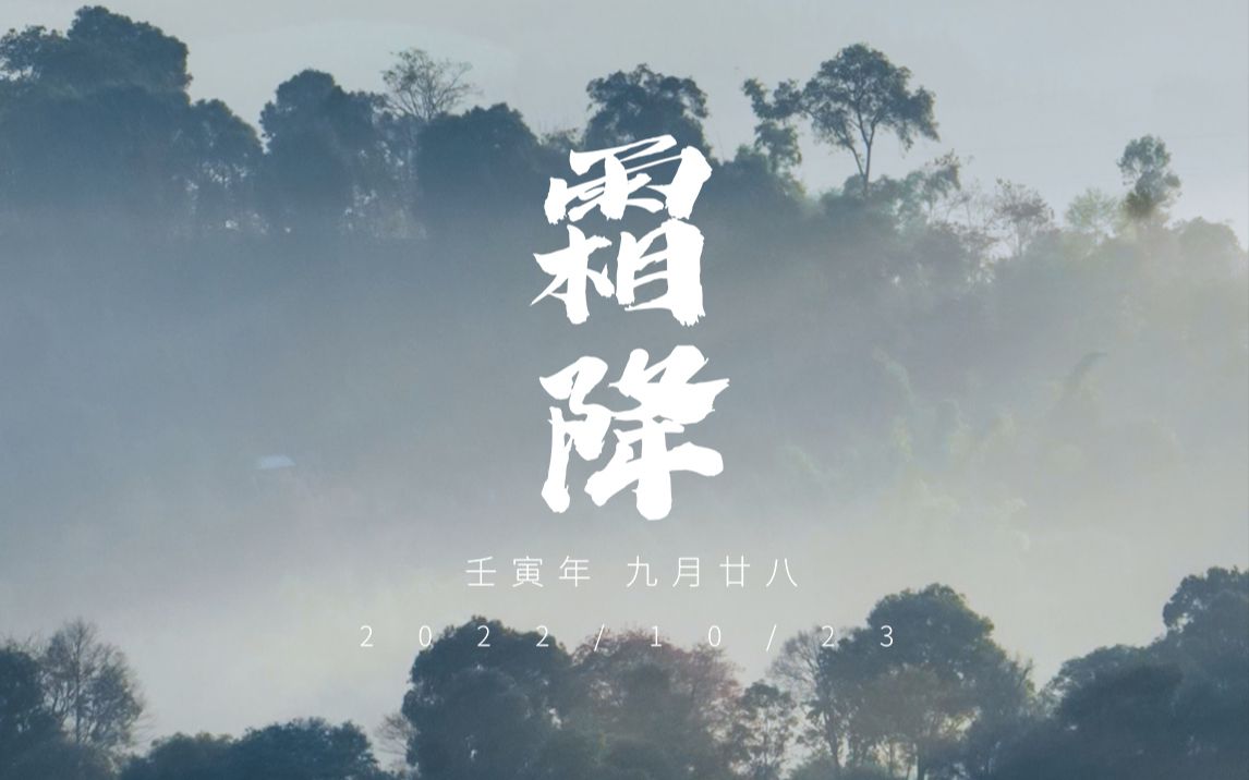 节气|霜降,一朝秋暮露成霜哔哩哔哩bilibili