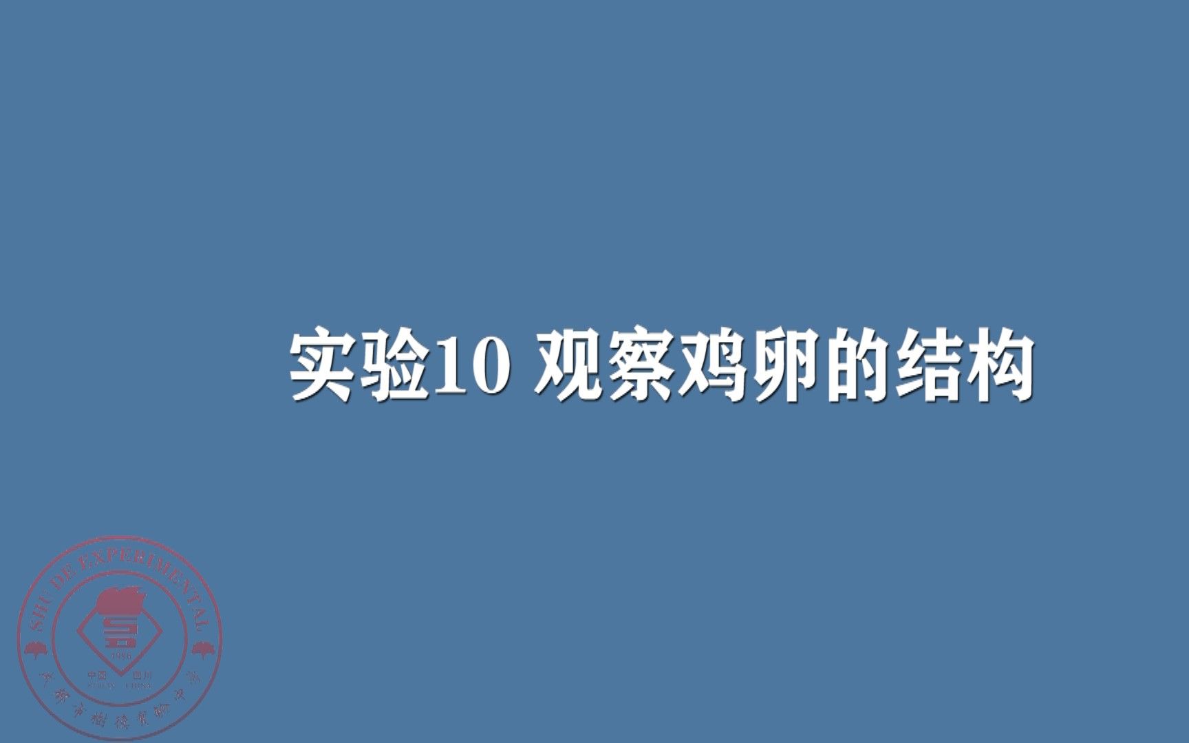 【树德实验】【2021年初中毕业实验操作考试】【生物学】实验10 观察鸡卵的结构哔哩哔哩bilibili