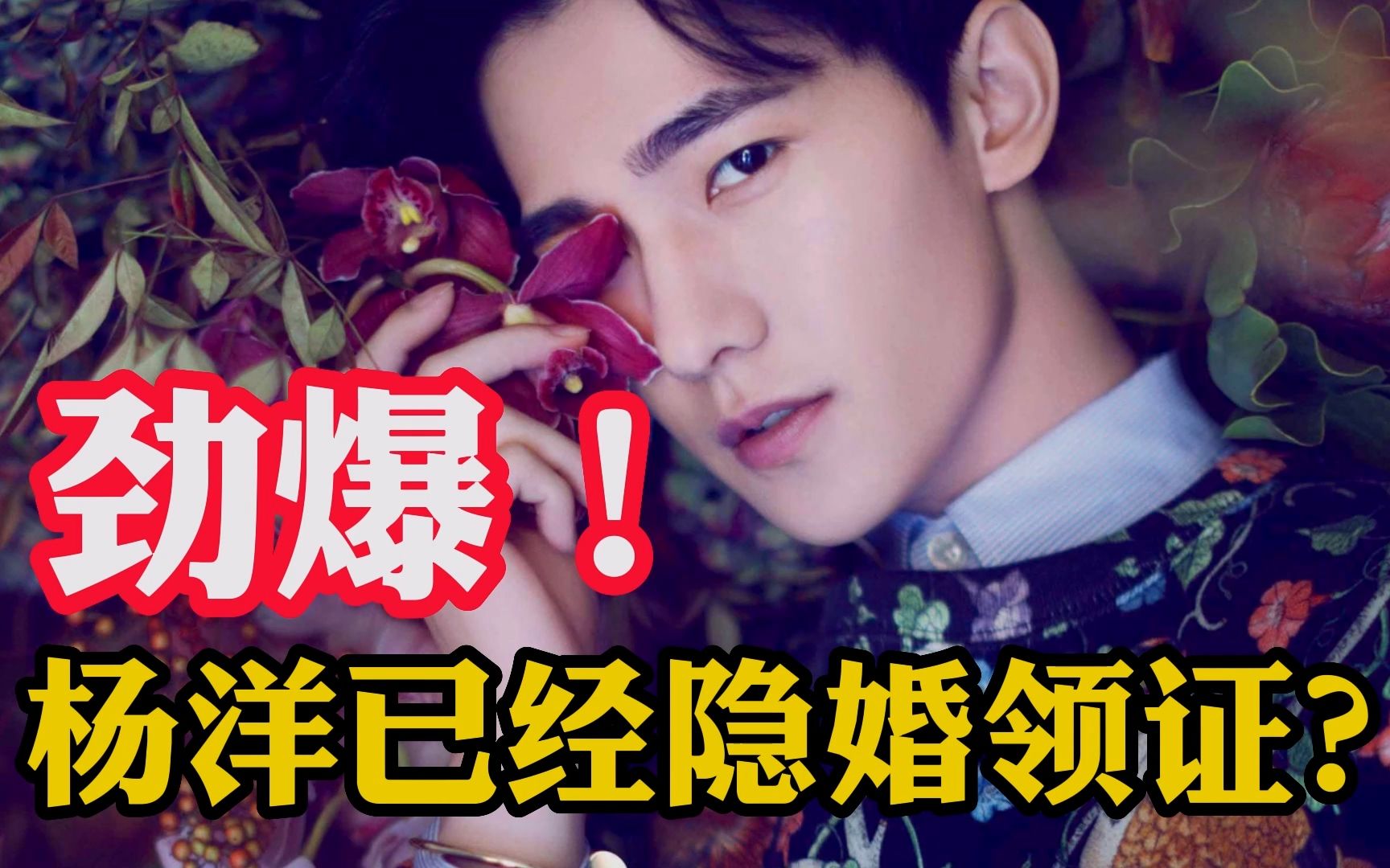 杨洋已经隐婚?领证的真是王楚然? - 视频下载 video downloader