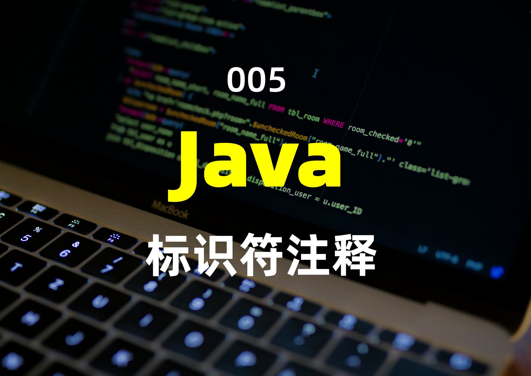 Java标识符注释哔哩哔哩bilibili