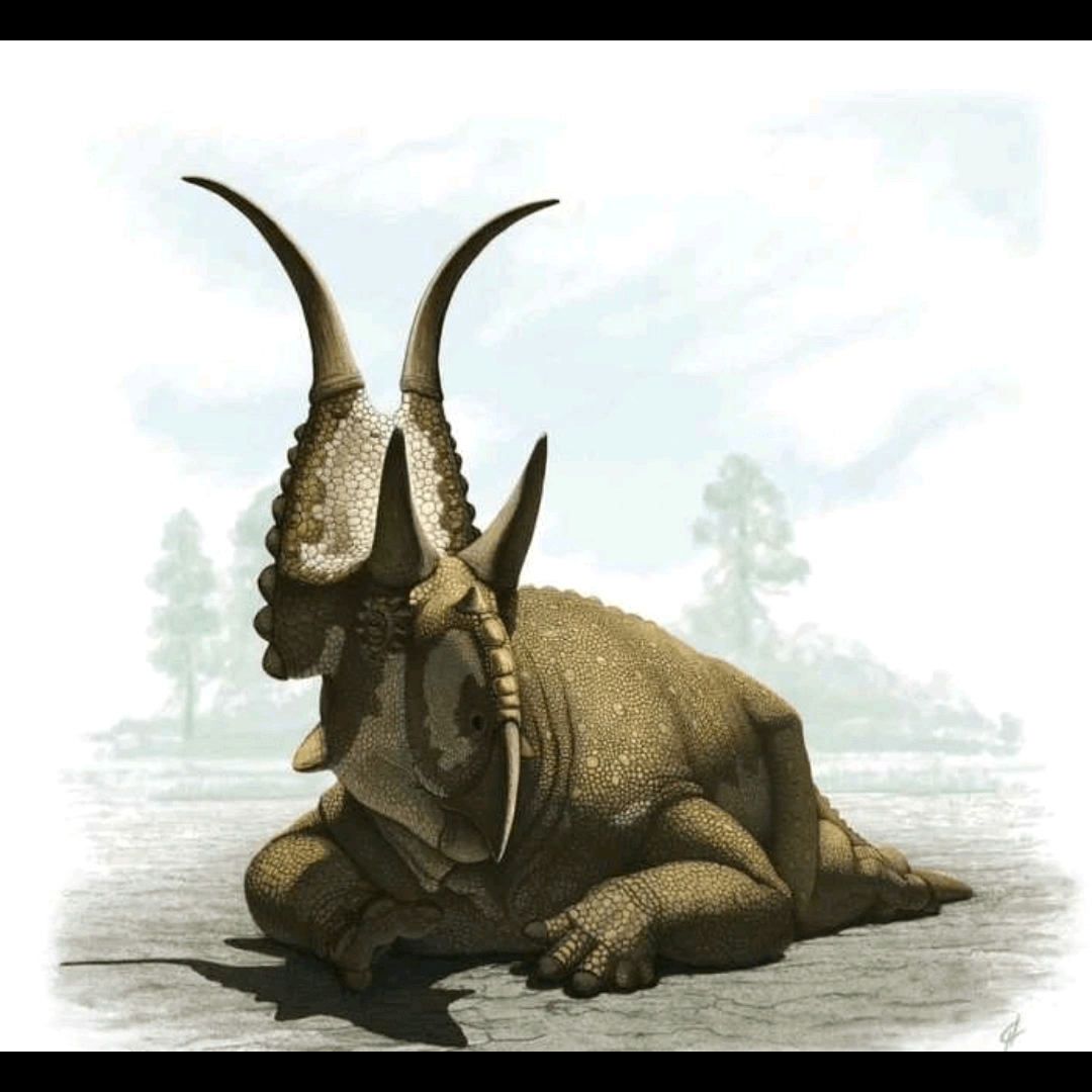 惡魔角龍(diabloceratops)是角龍下目角龍科恐龍的一個屬,生活於白堊