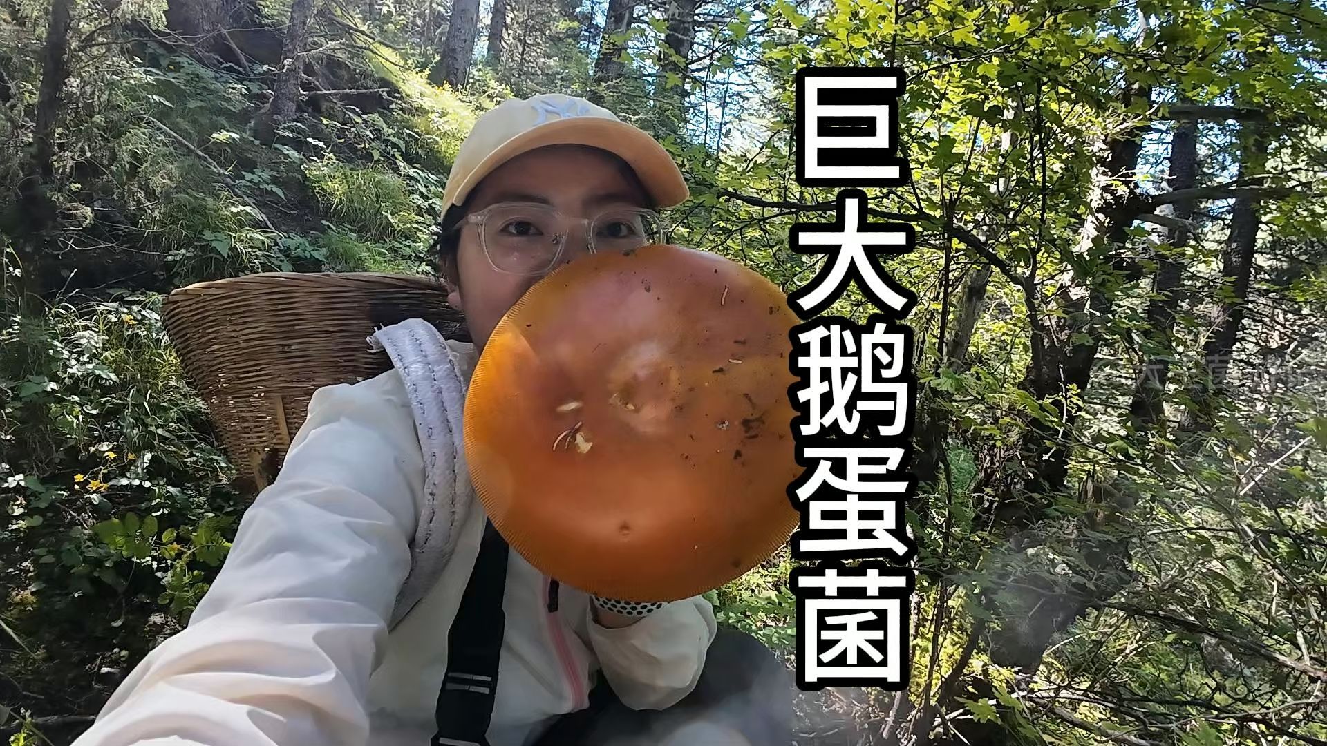 捡到巨大的鹅蛋菌 享受4000米海拔徒步风景