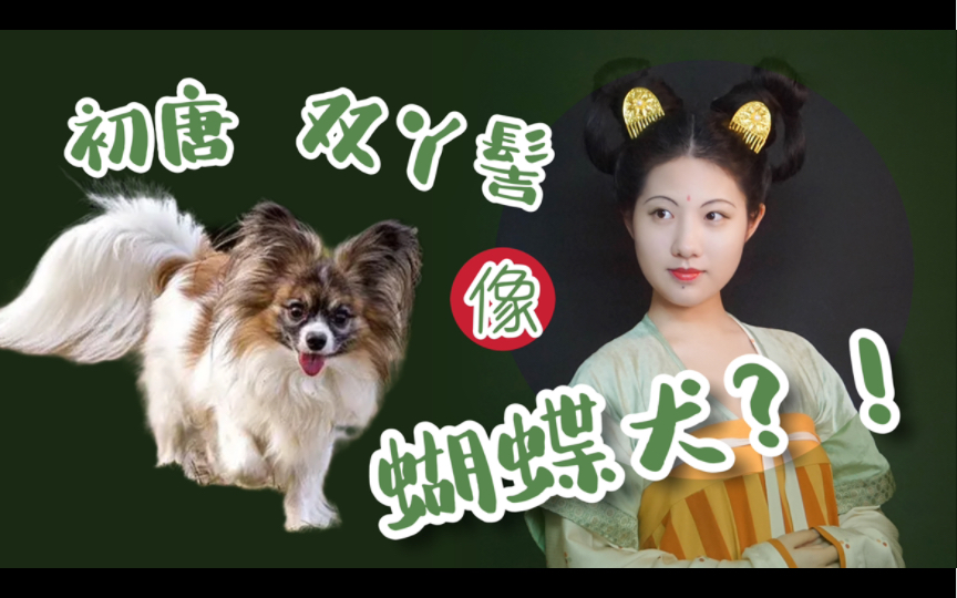 汉服发型之 关于我梳初唐侍女双丫髻被说像【蝴 蝶 犬】哔哩哔哩bilibili