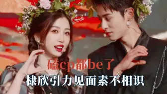 Download Video: 为什么磕的每对cp都be了，棣欣引力见面素不相识，遗憾才是常态