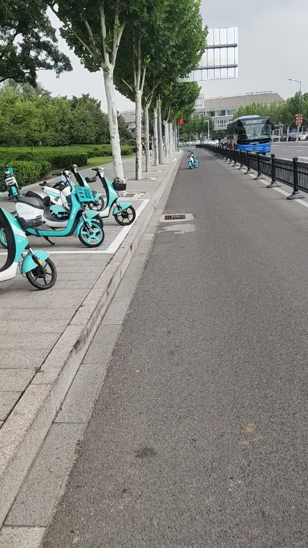 纯纯的找骂挨,特烦哈啰青桔到处乱停电动车