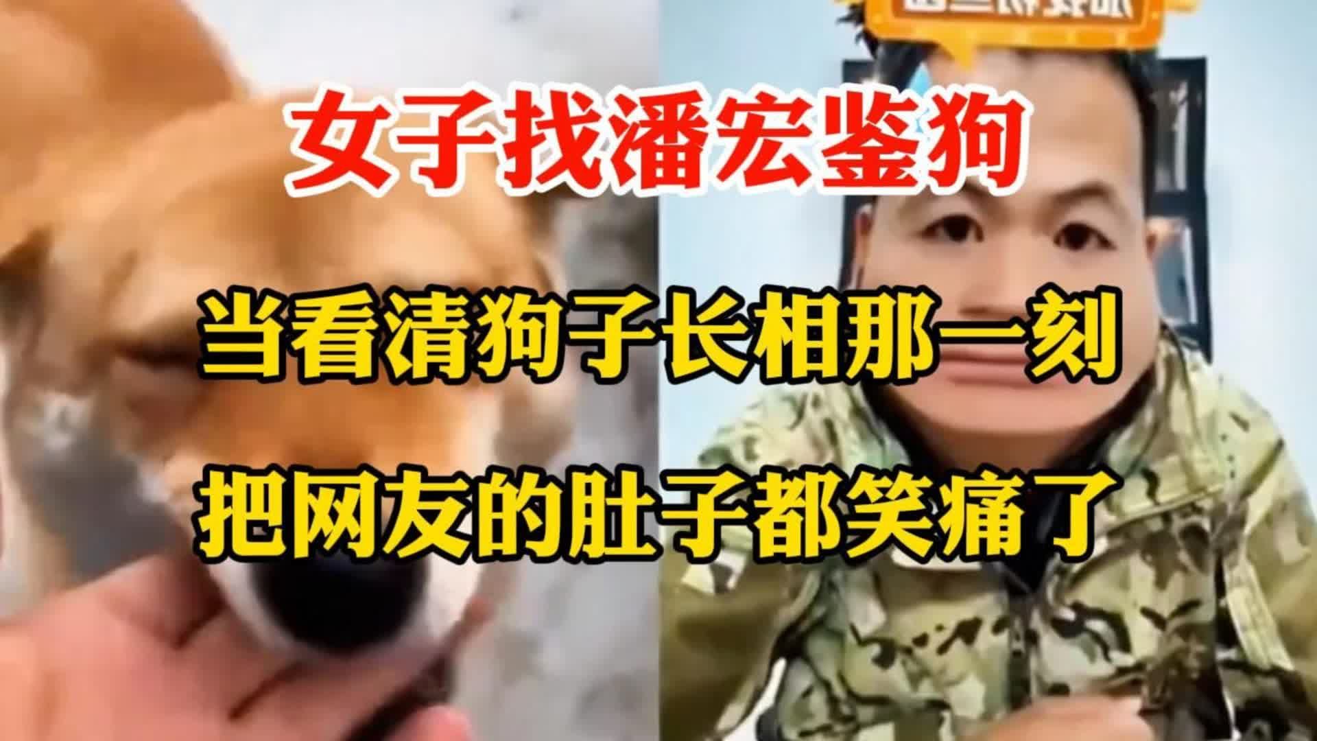 女子找潘宏鉴狗，当看清狗子长相那一刻，把网友的肚子都笑痛了！