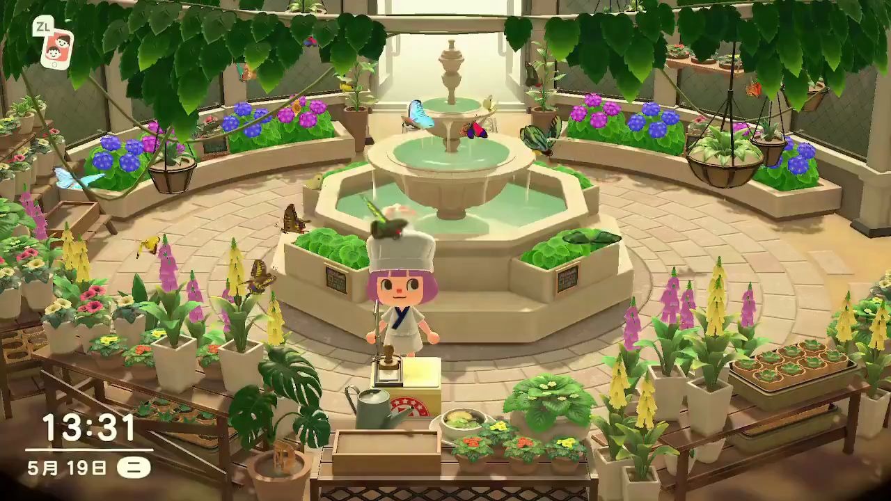 【d的动物之森】国际博物馆日:我有我的蝴蝶_哔哩哔哩 (゜-゜)つロ