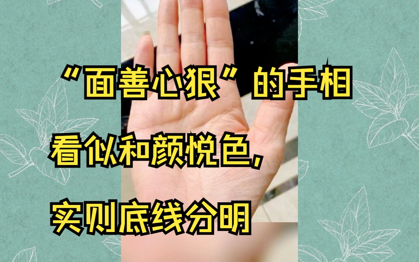 “面善心狠”的手相 看似和颜悦色, 实则底线分明哔哩哔哩bilibili