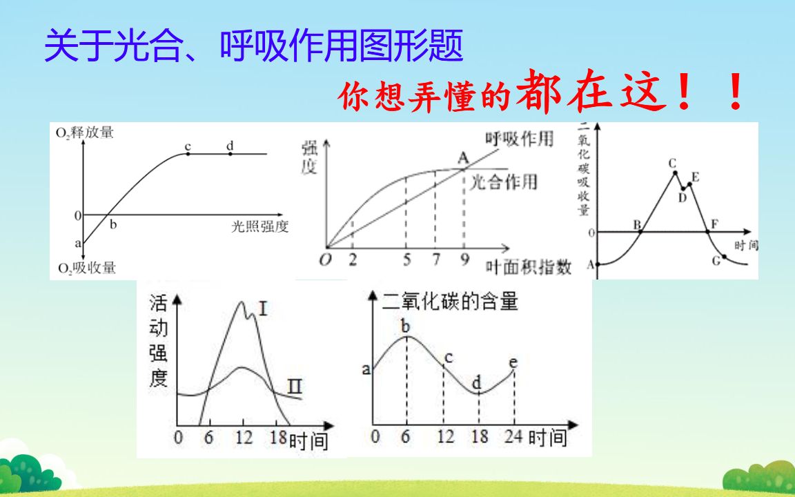 习题精讲光合呼吸图形题有些懵听我说就会了