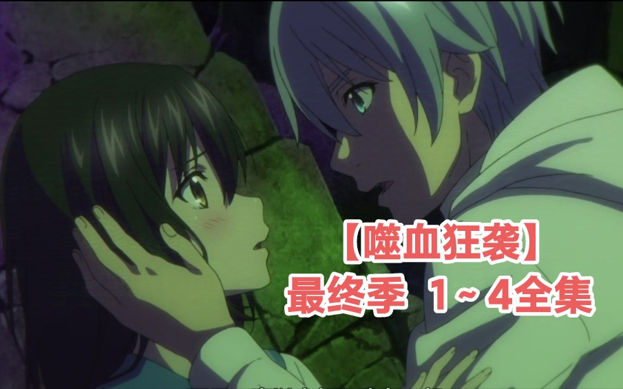 【噬血狂袭】最终季1~4全集