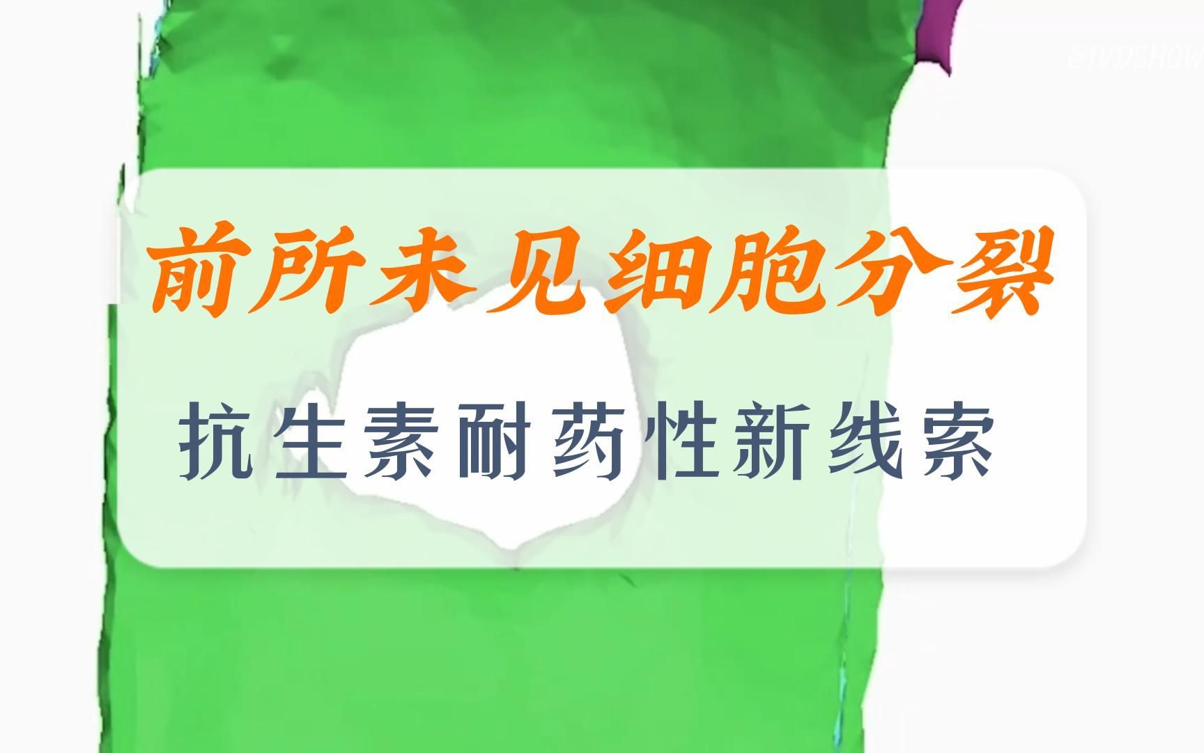 [图]看到了前所未有的细胞分裂！为应对全球性抗生素耐药性提供了新思路！