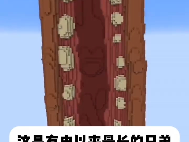 这是有史以来最长的兄弟