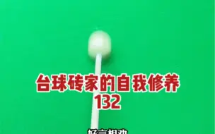 Download Video: 台球砖家的自我修养132