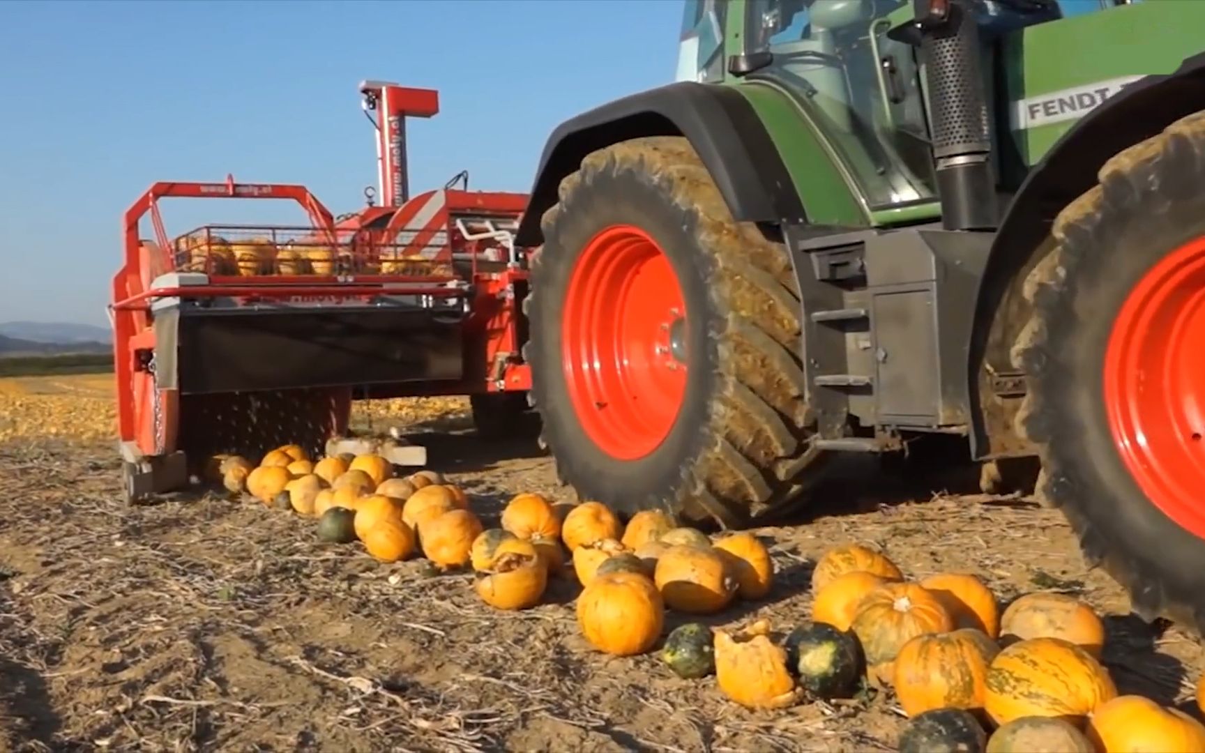 点开前南瓜收割机有啥好看的点开后浑身舒服
