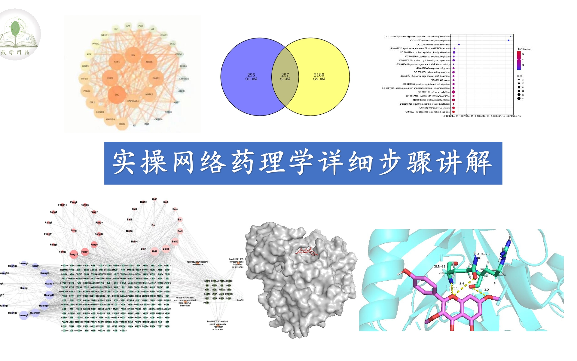 [图]网络药理学实操详细步骤讲解