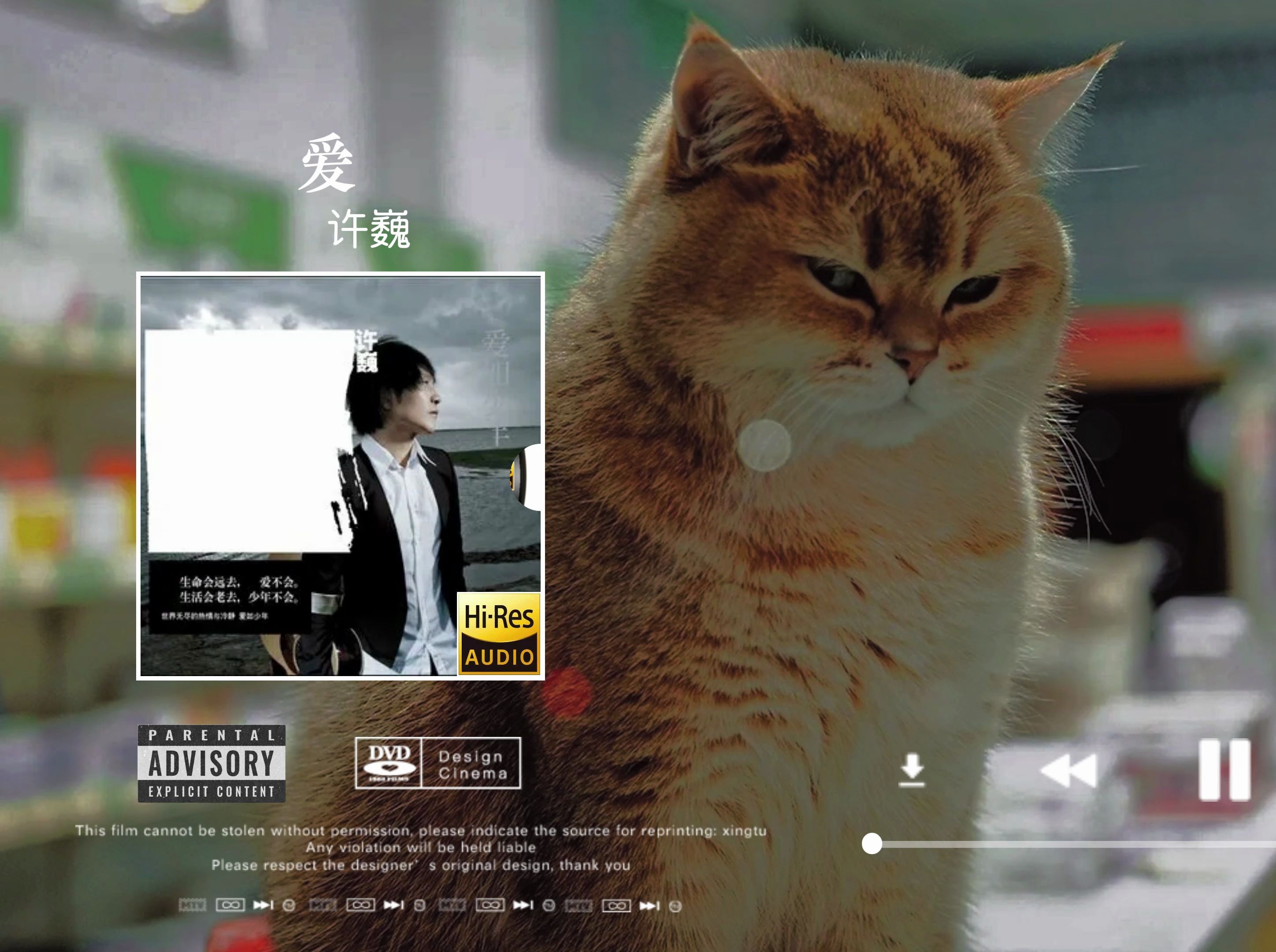 「hi-res音质」许巍《爱》无损音质经典歌曲完整版