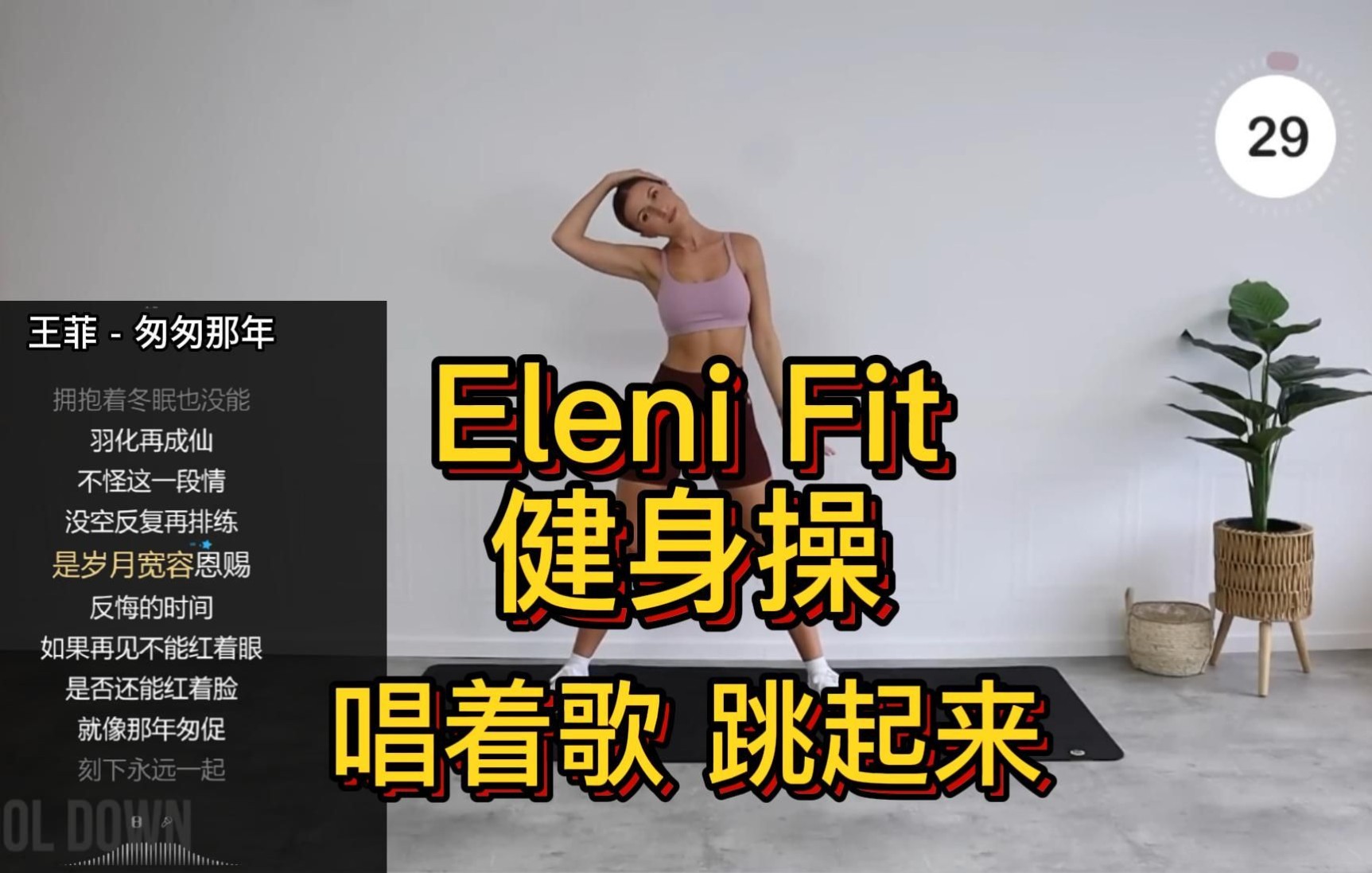 [图]【Eleni Fit*华语女歌手歌单】30分钟 健身操 唱着歌 跳起来 5000 步 步行有氧运动 燃烧脂肪，不重复，不跳跃