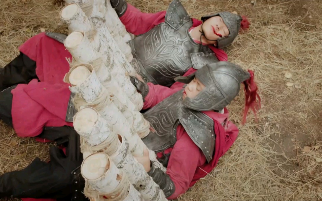 古装士兵12 - 视频下载 video downloader