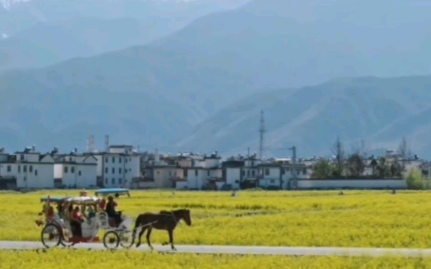 《去有风的地方》云南大理超治愈宣传片完整版哔哩哔哩bilibili