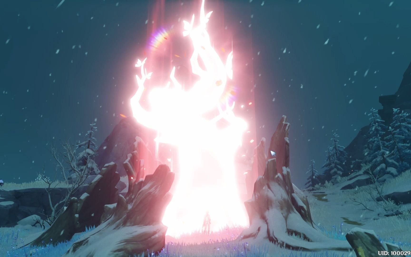 原神1212级忍冬之树开花雪山白色翅膀太好看了