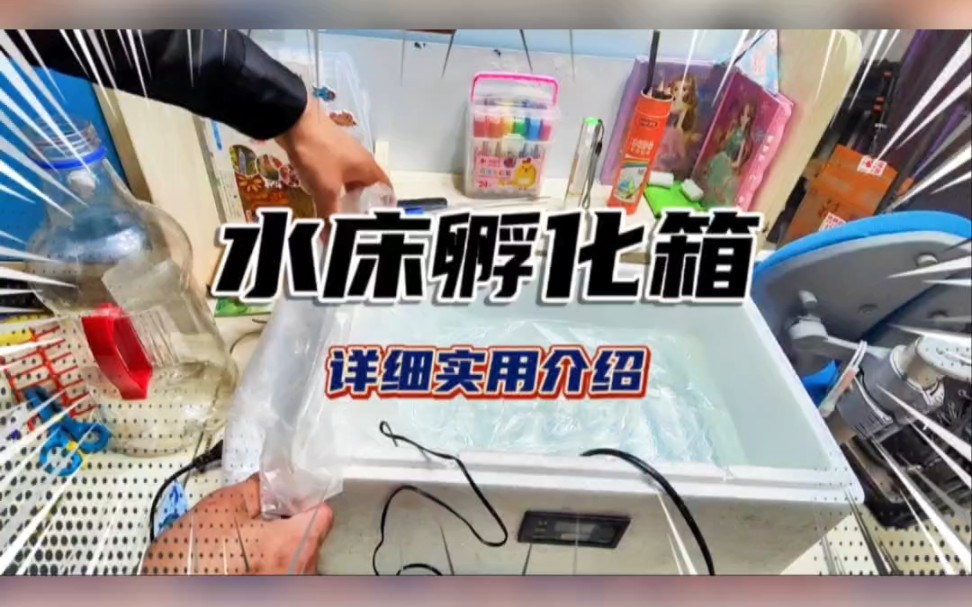 水床孵化箱的详细介绍,了解原理才能孵化率高哔哩哔哩bilibili