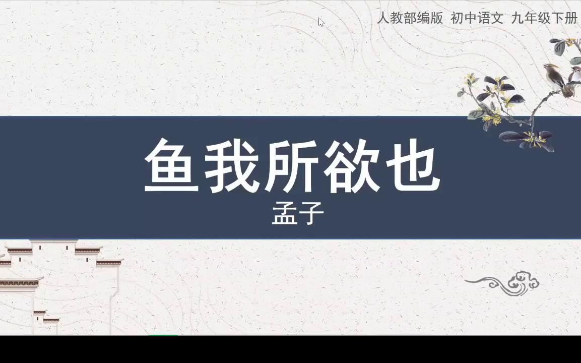 鱼我所欲也哔哩哔哩bilibili