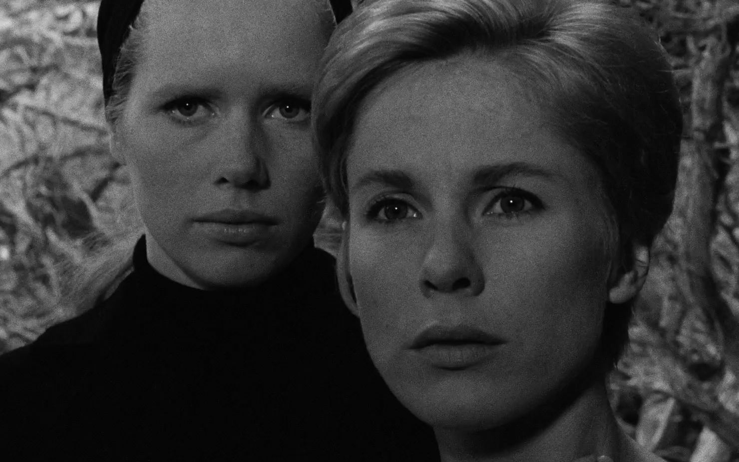 【假面 persona】英格玛·伯格曼 ingmar bergman (1966)