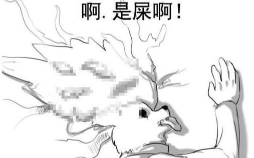 你这些玩dnf的死肥宅真没素质,天天骂人.哔哩哔哩bilibili