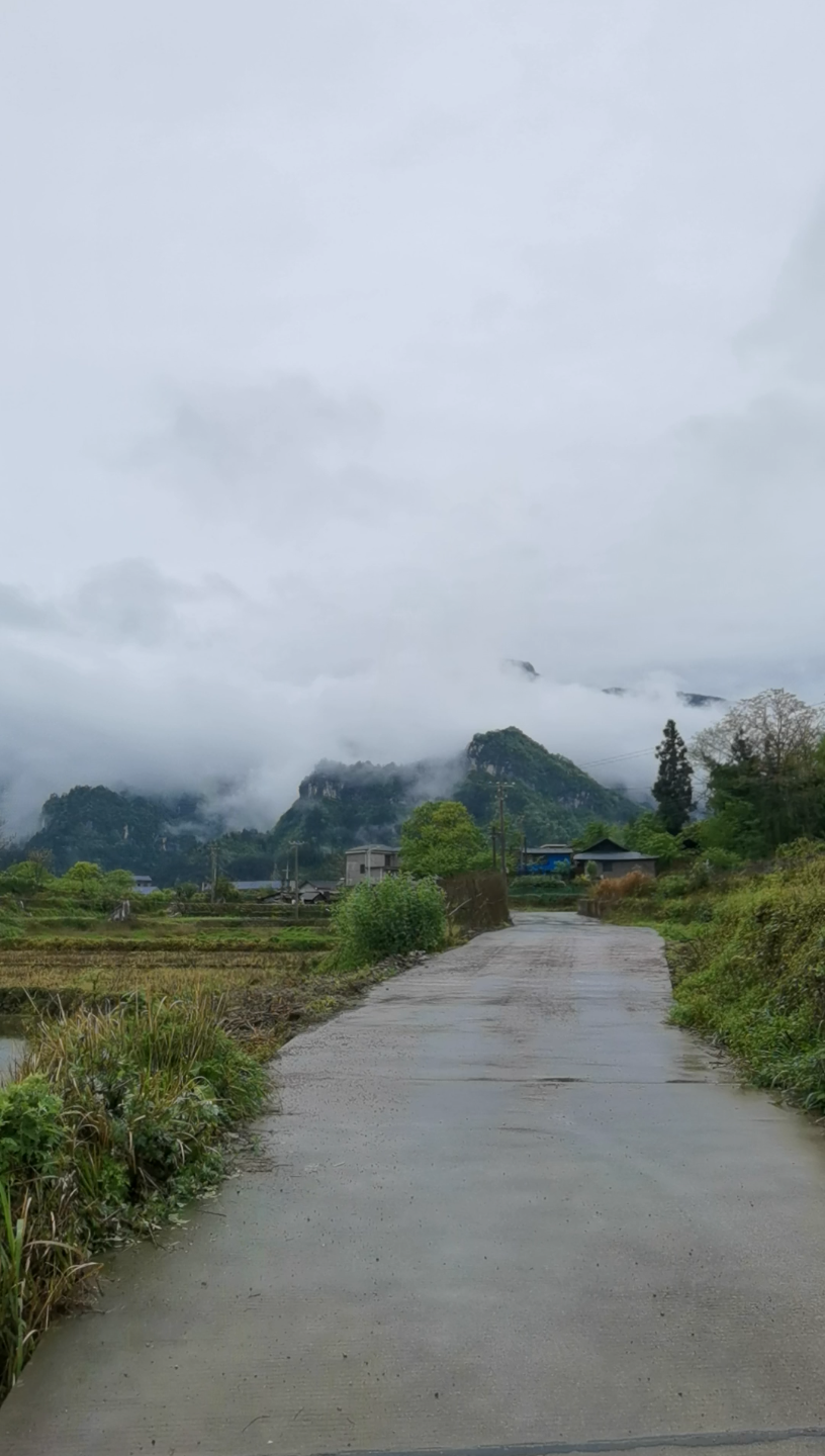 雨后乡村美景图片