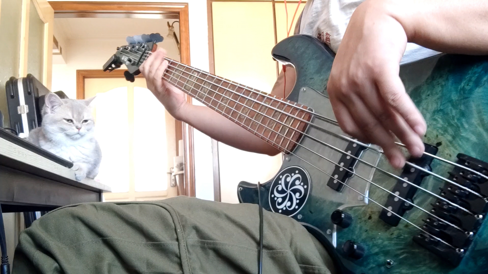 戴佩妮 透气 贝斯