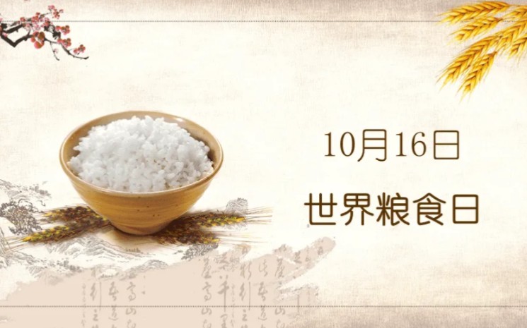 世界粮食日,让我们养成节约粮食的好习惯哔哩哔哩bilibili