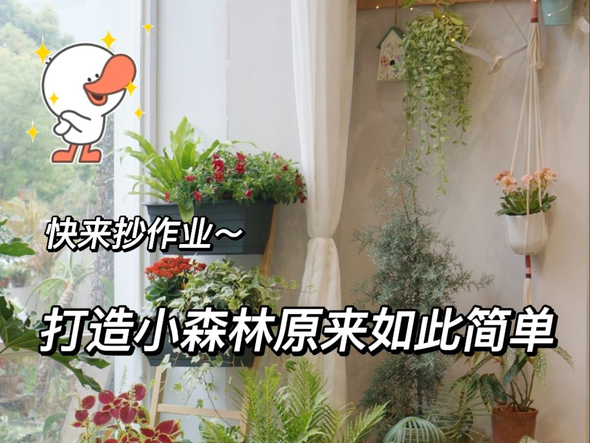 阳台花架/植物角布置灵感分享~哔哩哔哩bilibili