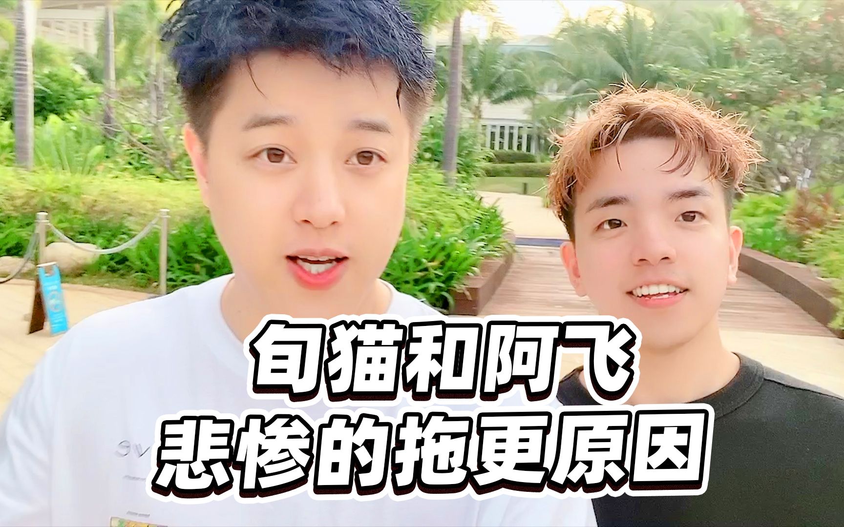 阿飞:旬猫俩兄弟悲惨的拖更原因,谁还不是个打工人_哔哩哔哩_bilibili