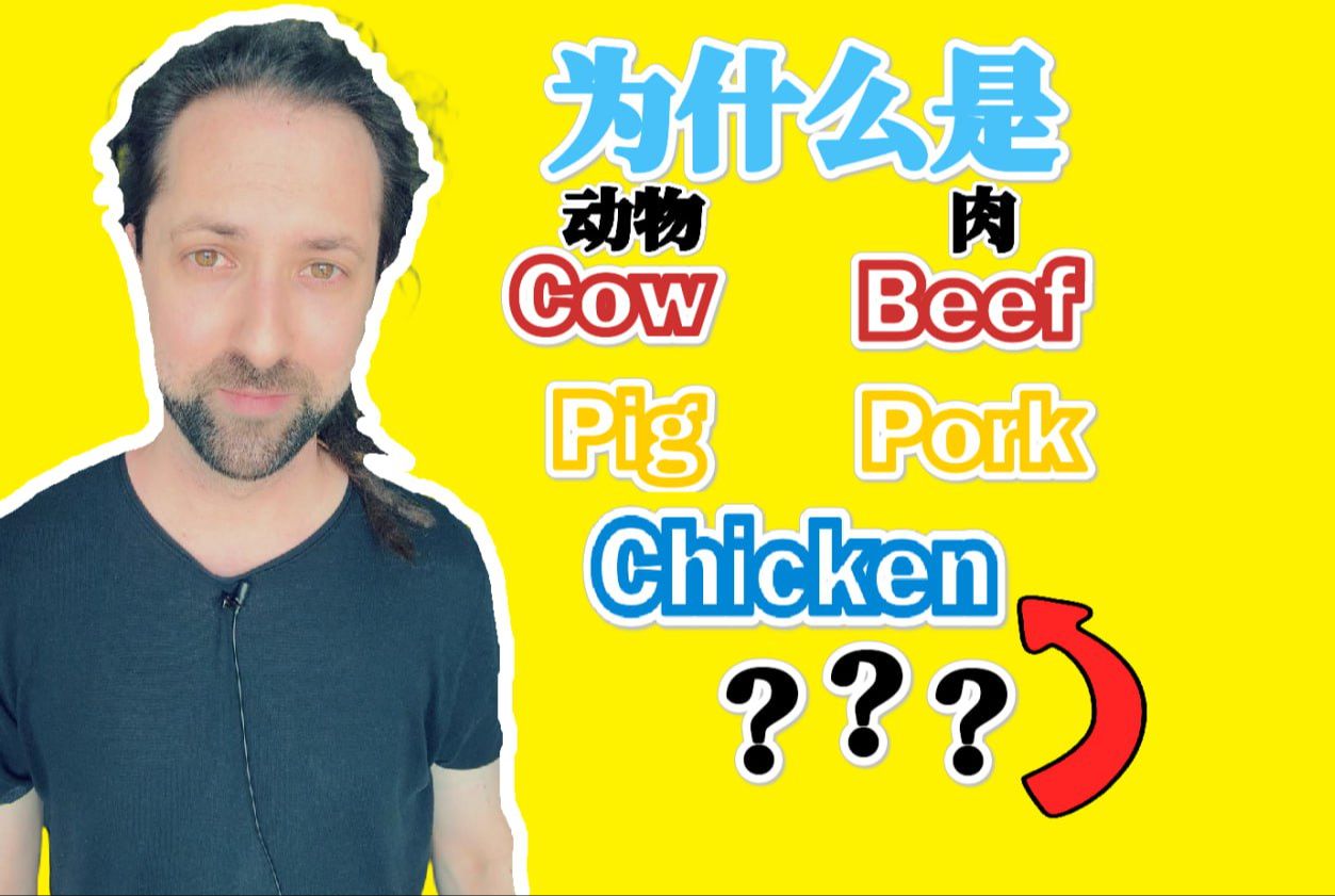 为什么是Beef, Cow, Pork, Pig, Chicken... Chicken?哔哩哔哩bilibili