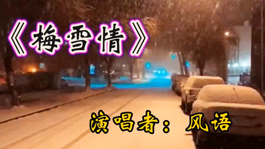 [图]《梅雪情》曲调优美，声情并茂，如痴如醉的歌声百听不厌