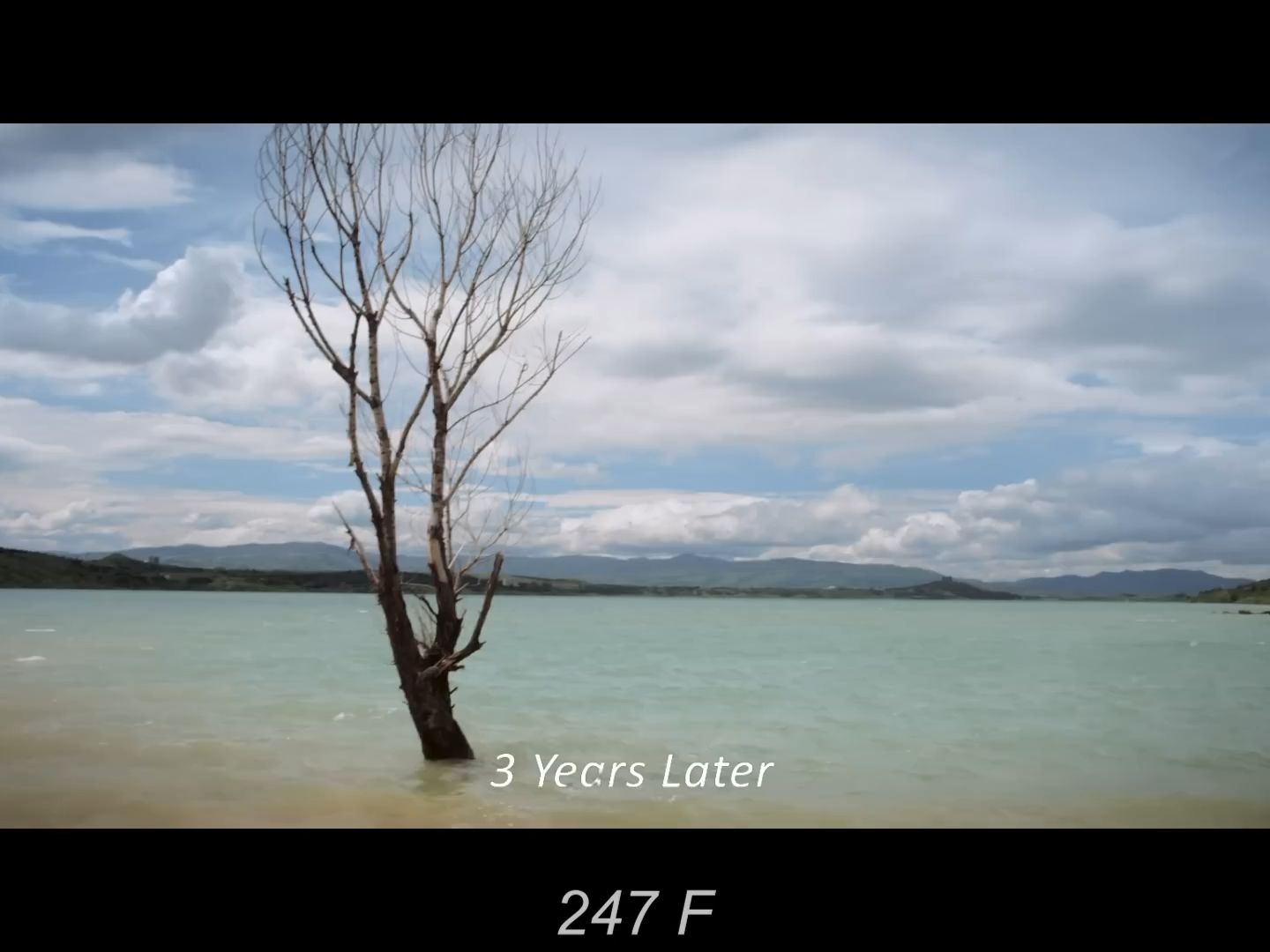 【英文字幕】电影《华氏247度》详细解说