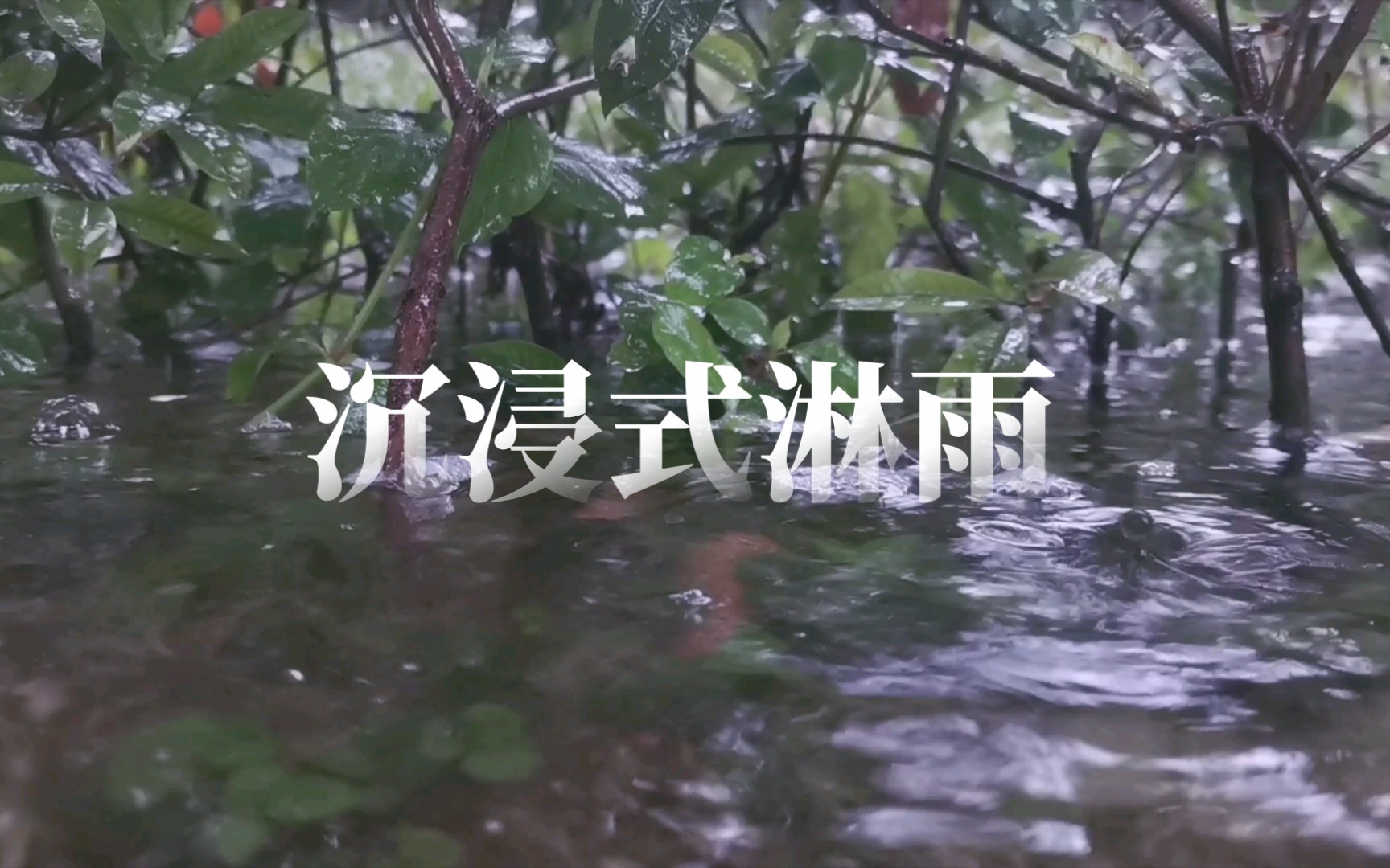 【3D无人声】沉浸式雨中梦游哔哩哔哩bilibili