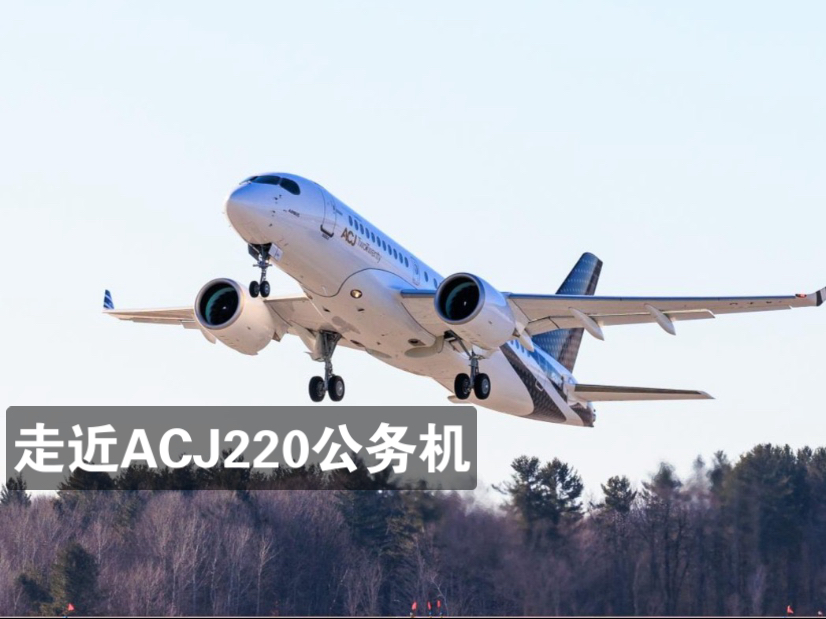 走近ACJ220公务机: 飞行特性-空中客车-空中客车-哔哩哔哩视频