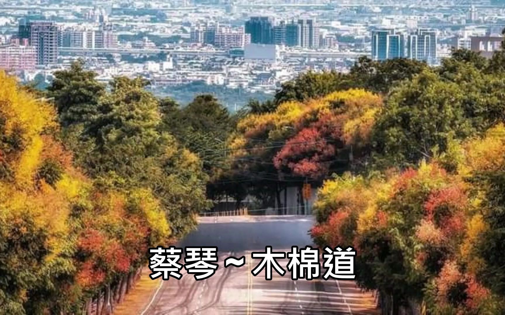 [图]蔡琴 _ 木棉道