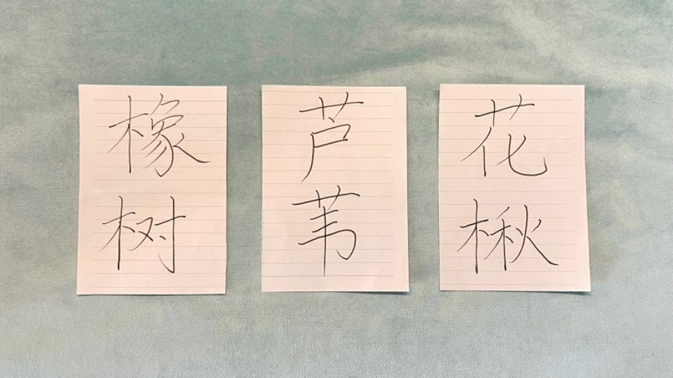 ta喜欢你吗？关系后续会如何发展？