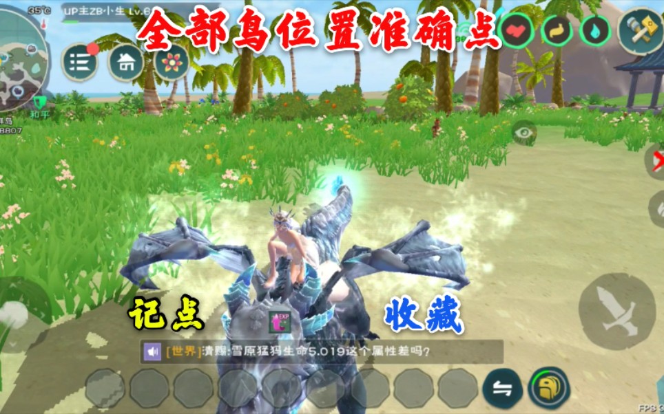 创造与魔法:全图云斑鹦鸟准确位置点,赶快来看看吧.