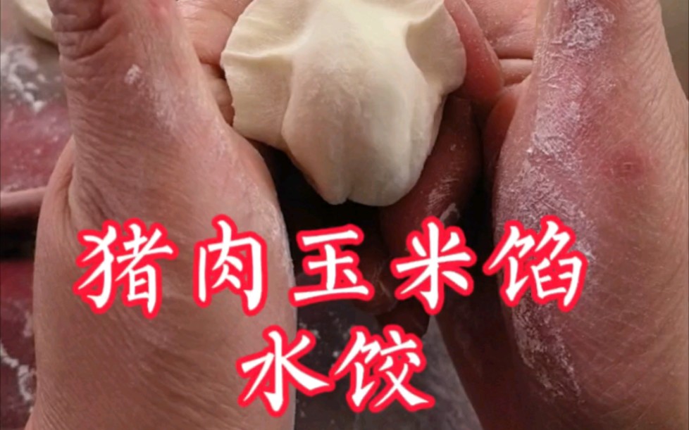 猪肉玉米馅水饺,喜欢吃就关注我,教你包哔哩哔哩bilibili