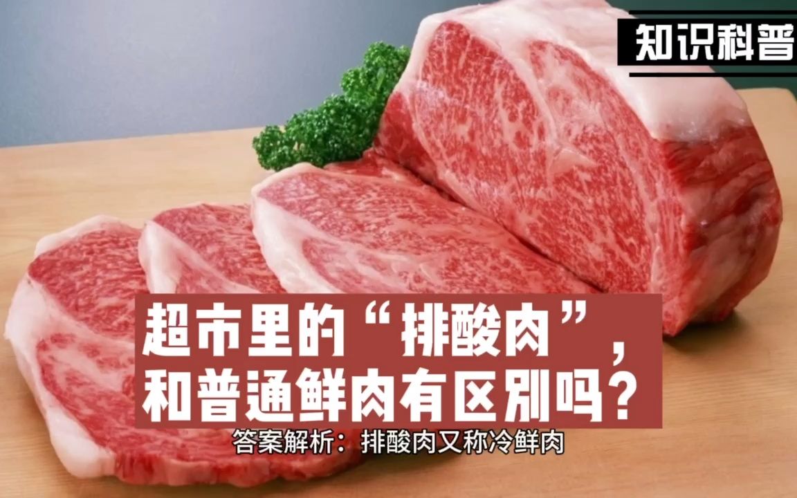 超市里的“排酸肉”,和普通鲜肉有区别吗?哔哩哔哩bilibili