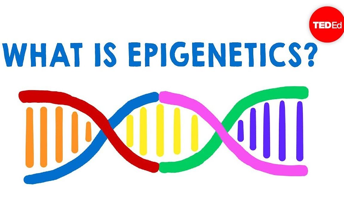 【Epigenetics】3分钟带你了解表观遗传学
