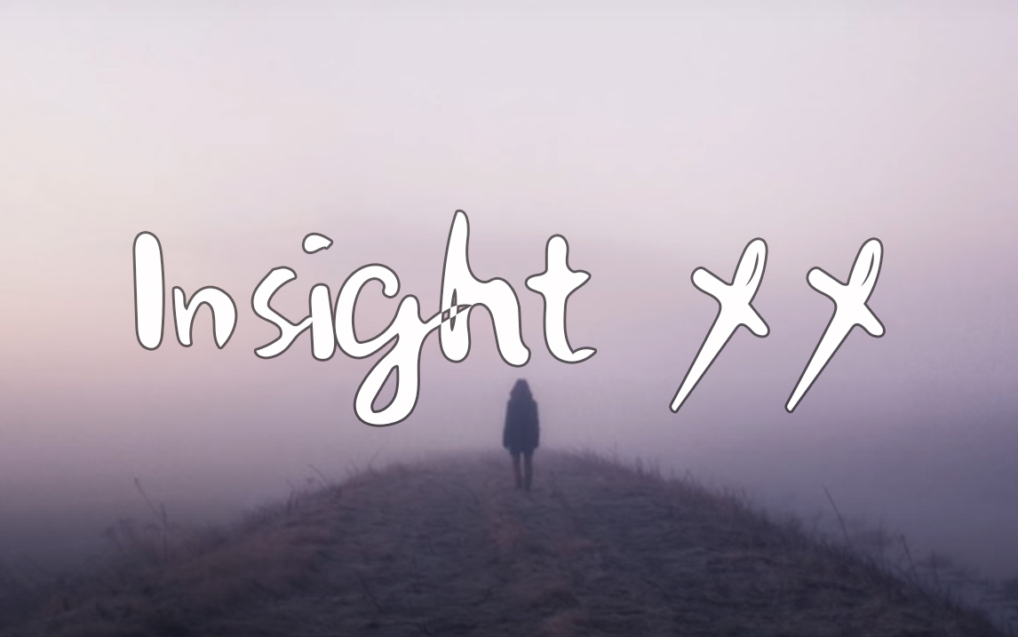 [图]Insight XX - Julien Marchal