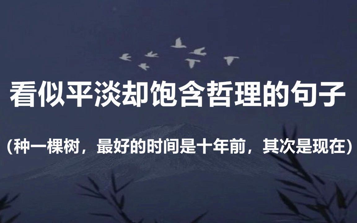 “你是砍柴的,他是放羊的,你和他聊了一天,他的羊吃饱了,你的柴呢?”||盘点那些看似平淡却饱含哲理的句子哔哩哔哩bilibili