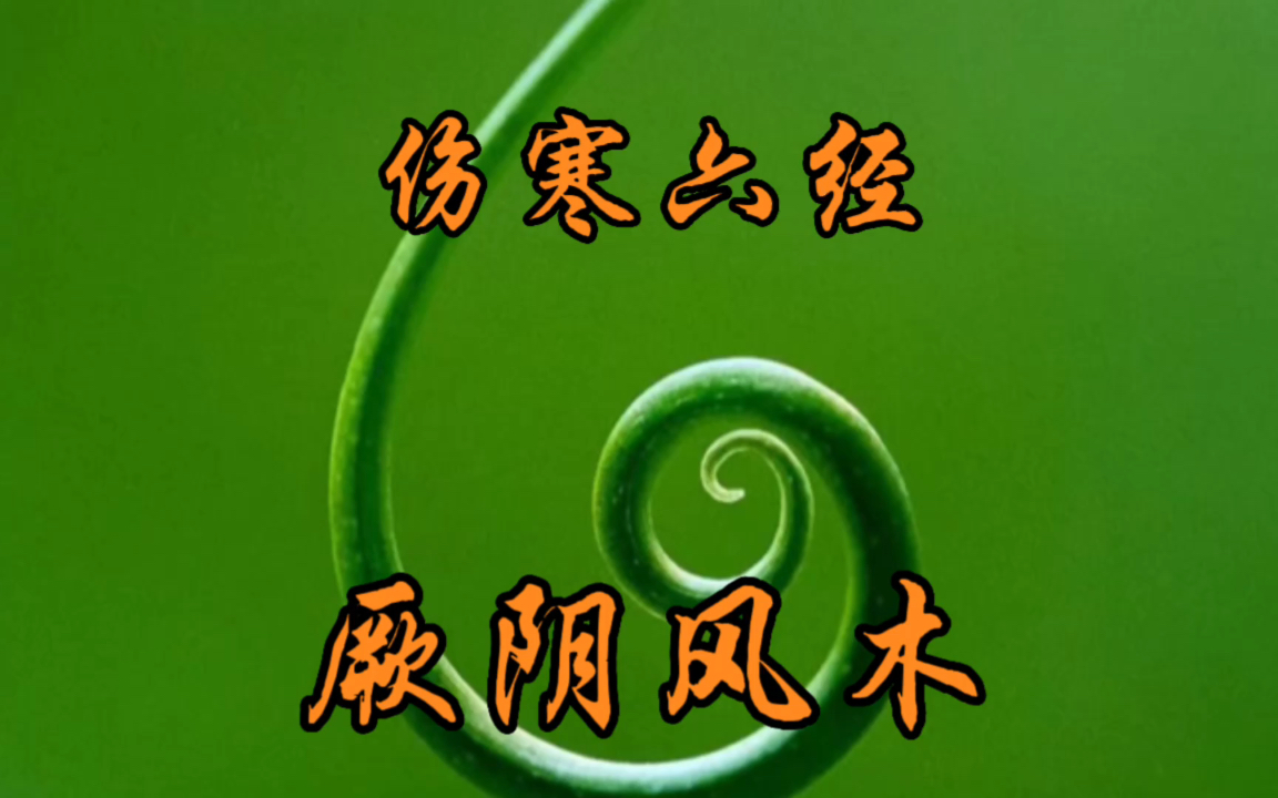 伤寒六经厥阴病 木气厥阴风木六经辨证 五行木 #汉字哔哩哔哩bilibili